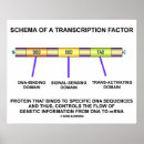 Suche nach protein poster Biologie