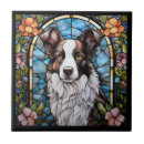 Suche nach border collie fliesen Grenze