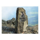 Suche nach bergspitze poster Wald