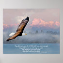 Suche nach adler poster Inspirierend