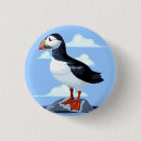 Suche nach seevogel buttons Puffin