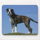 Suche nach pam mousepads Hunde fotograf