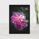 Suche nach rosa pfingstrosen karten Jede person