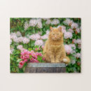 Suche nach rosa katze puzzle Niedlich