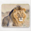 Suche nach wildtiere mousepads Jede person