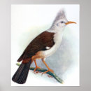 Suche nach ausgestorbenes tier poster Natur