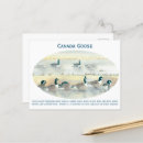 Suche nach vintage bird postkarten Vogelliebhaber