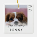 Suche nach haustier andenkensanhänger Schwarz weiß