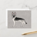 Suche nach deutscher schäferhund postkarten Gsd