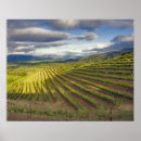 Suche nach napa poster Usa