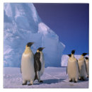 Suche nach oxford fliesen Eis