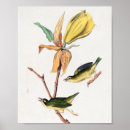 Suche nach wild bird poster Tierwelt