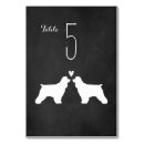 Suche nach tieres tischkarten Braut