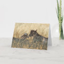 Suche nach scouts karten Für alle