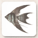 Suche nach aquariumfische Cichlid