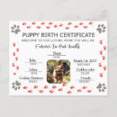 Suche nach welpen liebe postkarten Hunde
