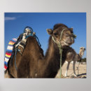 Suche nach mittelmeerküste poster Afrikanisch