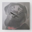 Suche nach labrador wanduhren Retriever