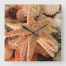 Suche nach muschel wanduhren Seashell