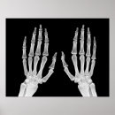 Suche nach menschliche hand poster Biologie