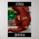 Suche nach borneo poster Orang utan