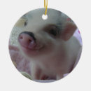 Suche nach schwein ornamente weihnachten