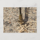 Suche nach feucht postkarten Jede person