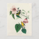 Suche nach vogelnest postkarten Jede person