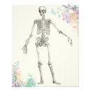 Suche nach menschlicher körper poster Biologie