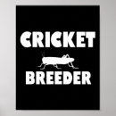 Suche nach wicket poster Yorker