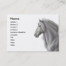 Suche nach stallion visitenkarten Reiter