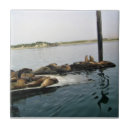 Suche nach siegel fliesen California