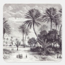 Suche nach oase aufkleber Palme