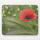 Suche nach toskana mousepads Europa