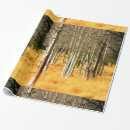 Suche nach san francisco geschenkpapier Wälder