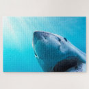 Suche nach weißer hai puzzle Fisch