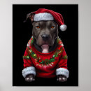 Suche nach xmas poster Welpe