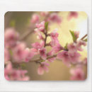 Suche nach kirschblüte blüte mousepads Kirsche