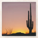 Suche nach tucson untersetzer Arizona