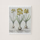 Suche nach narzissen puzzle Blumen