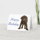 Suche nach brauner labrador karten Hund