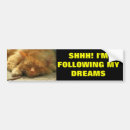 Suche nach schlafenmiezekatze Nickerchen