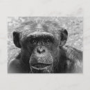 Suche nach charaktere postkarten Jede person