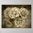Suche nach vintage flower poster White