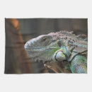Suche nach eidechse geschirr tücher Leguan