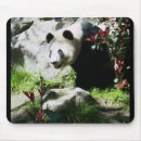 Suche nach panda mousepads Natur