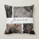 Suche nach die ich weiß kissen Collage