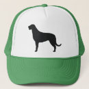 Suche nach nicht irisch kappen Wolfshund
