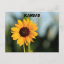 Suche nach sunflower postkarten Jede person