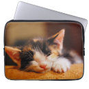 Suche nach miezekatze laptop schutzhüllen Haustier